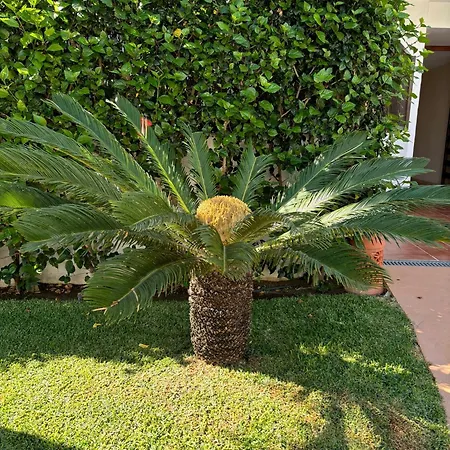 Marbella Costalita Διαμέρισμα *